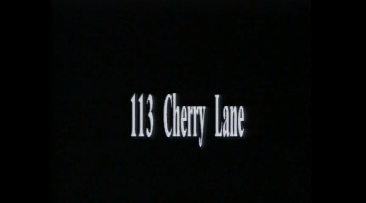 113 Chery Lane