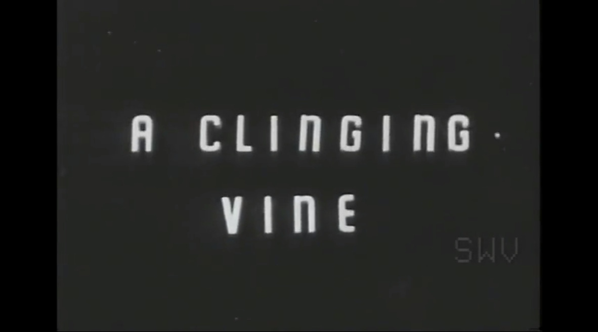 A clinging vine