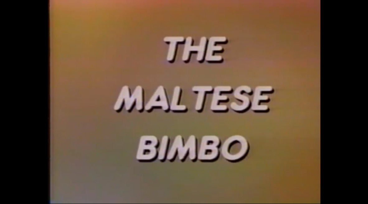 A Maltese Bimbo