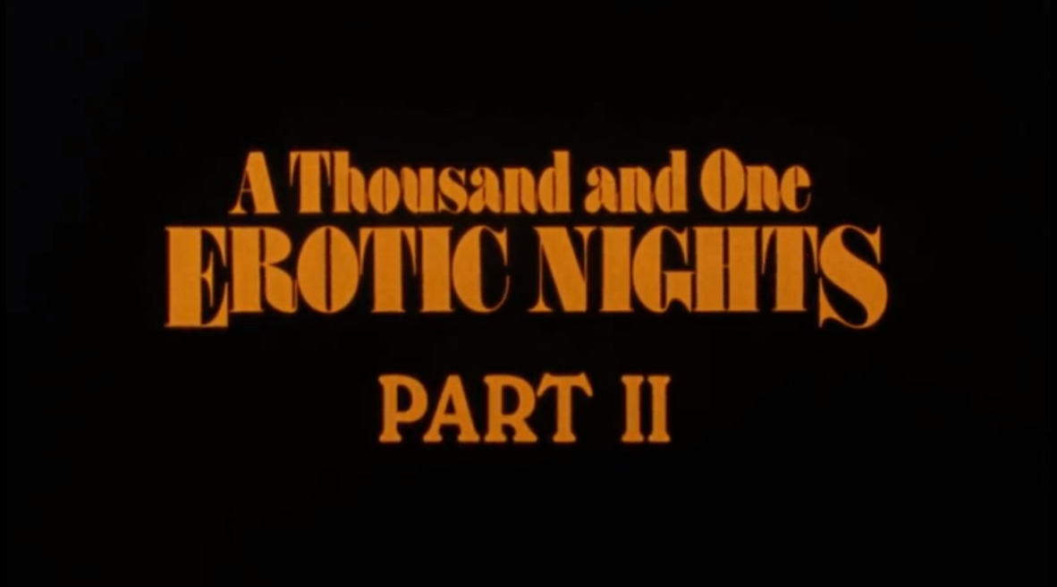 A Thousand and One Erotic Nights - part II