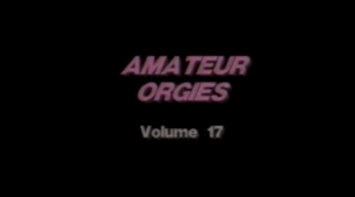 Amateur Orgies volume 17