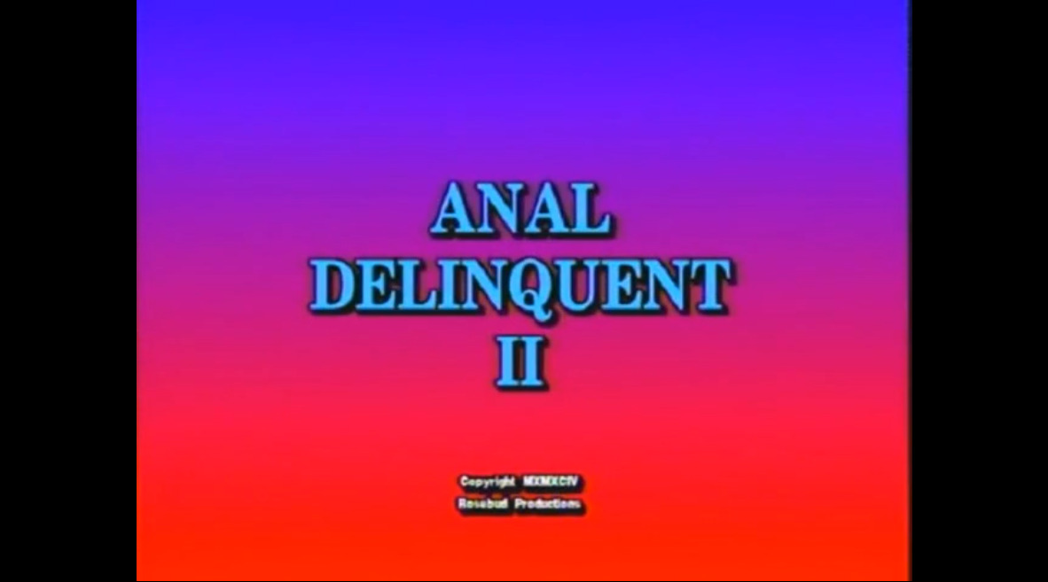 Anal Delinquent II
