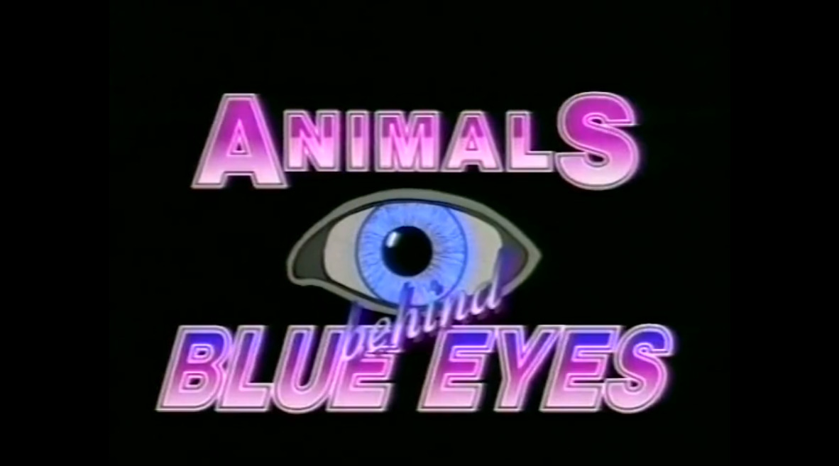 Animals Behind Blue Eyes