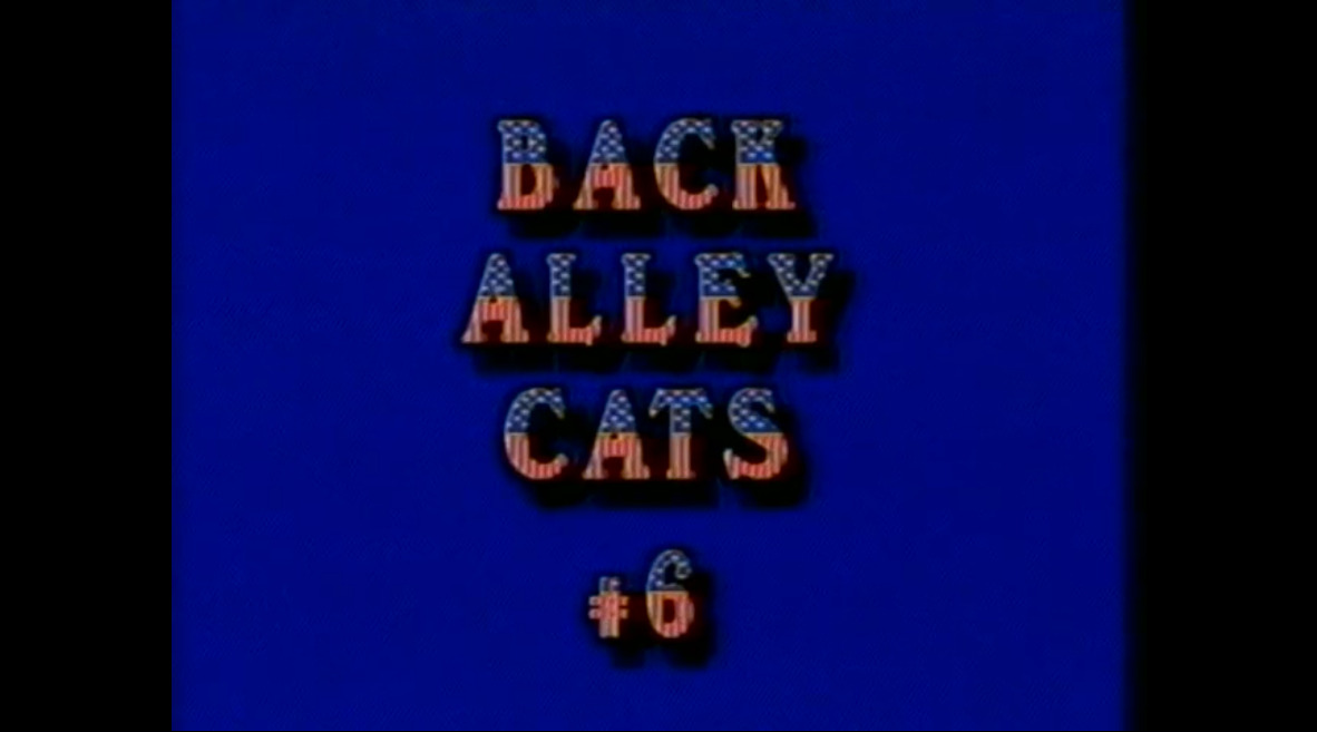 Back Alley Cats #6