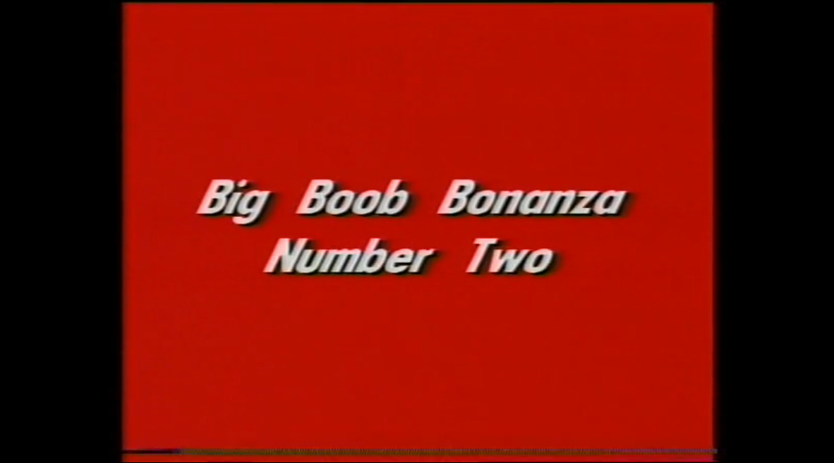 Big Boob Bonanza Number Two