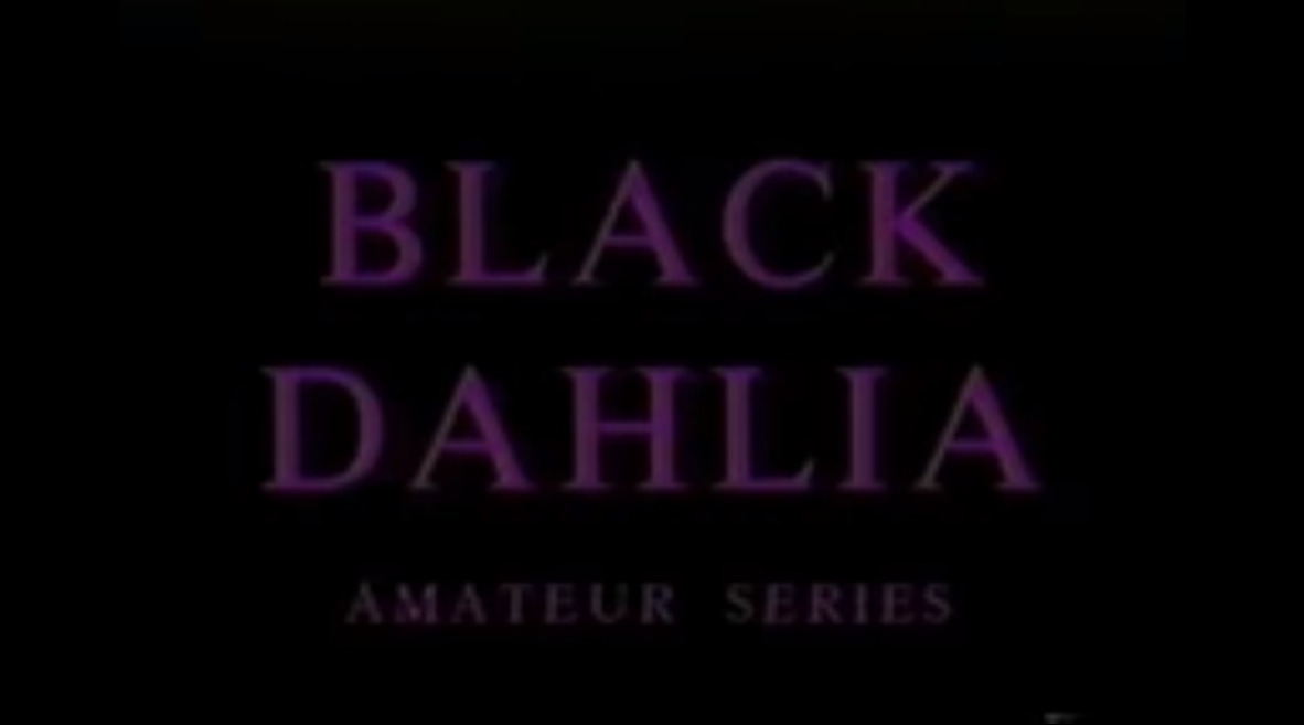 Black Dahlia - amateur series