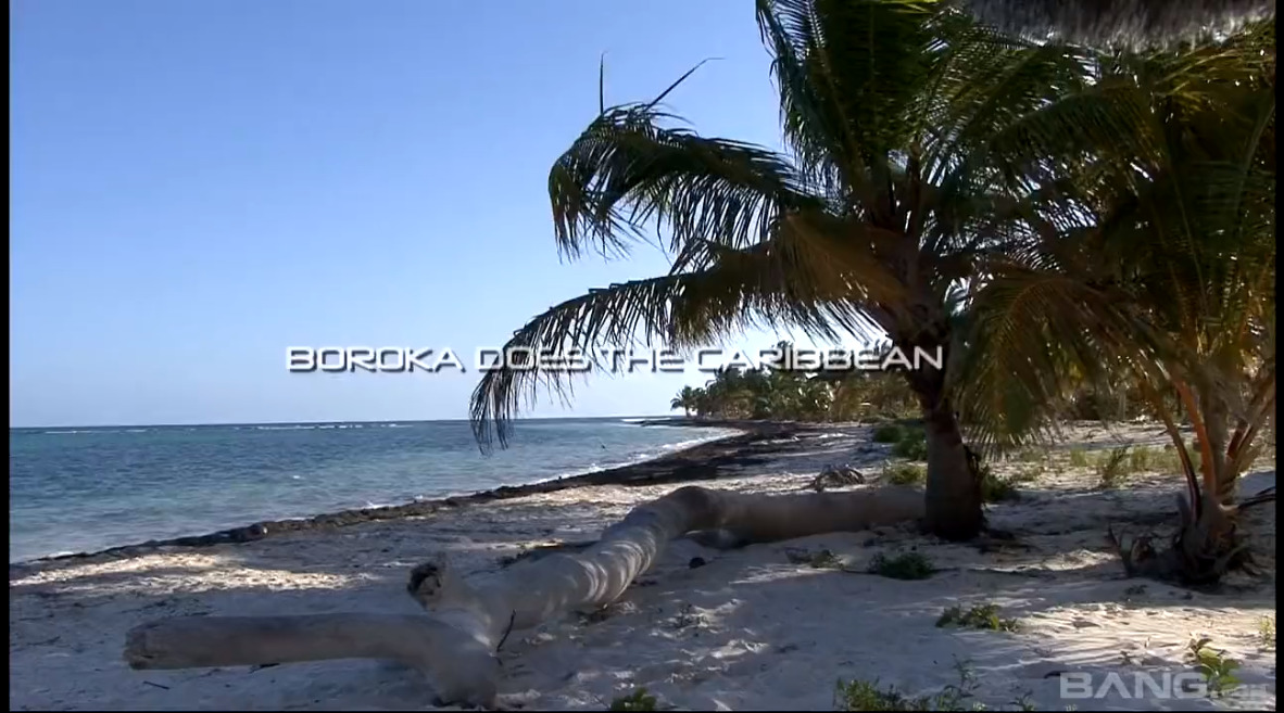 Boroka does the Caribbean