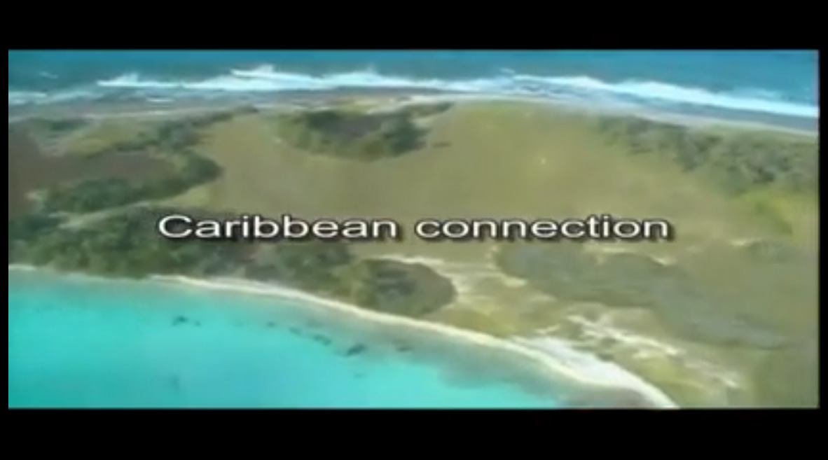 Caribbean connection