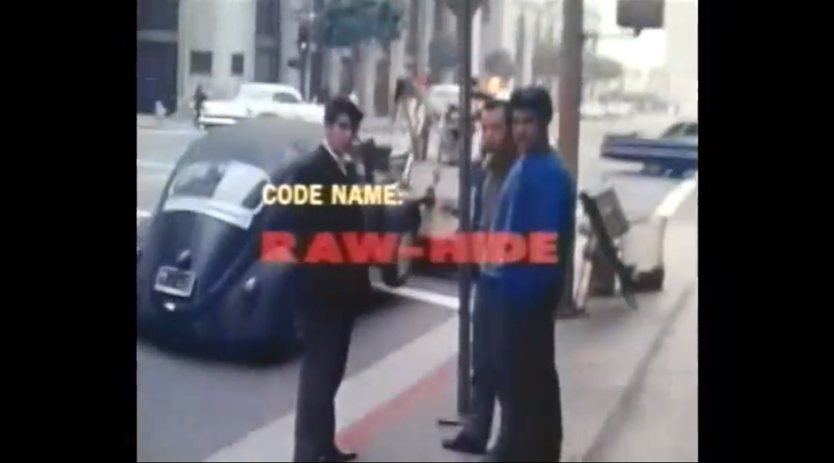 Code name: Raw-Hide