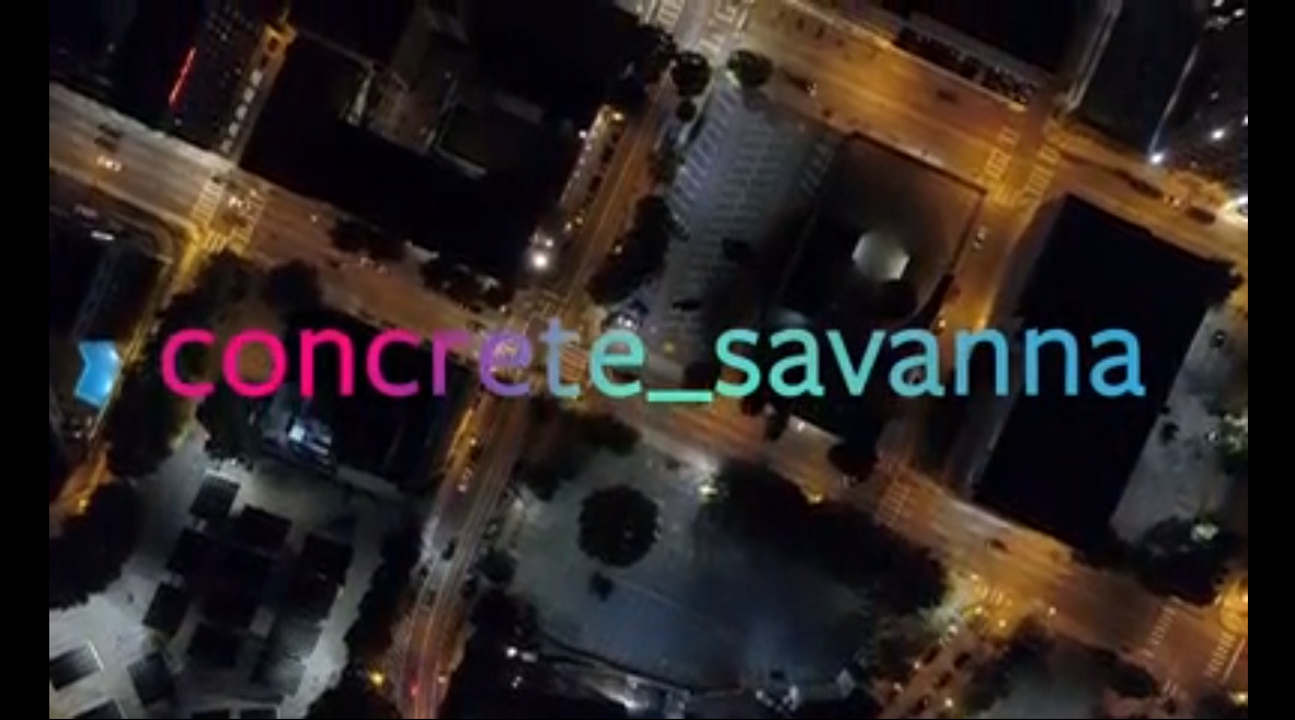 Concrete Savanna