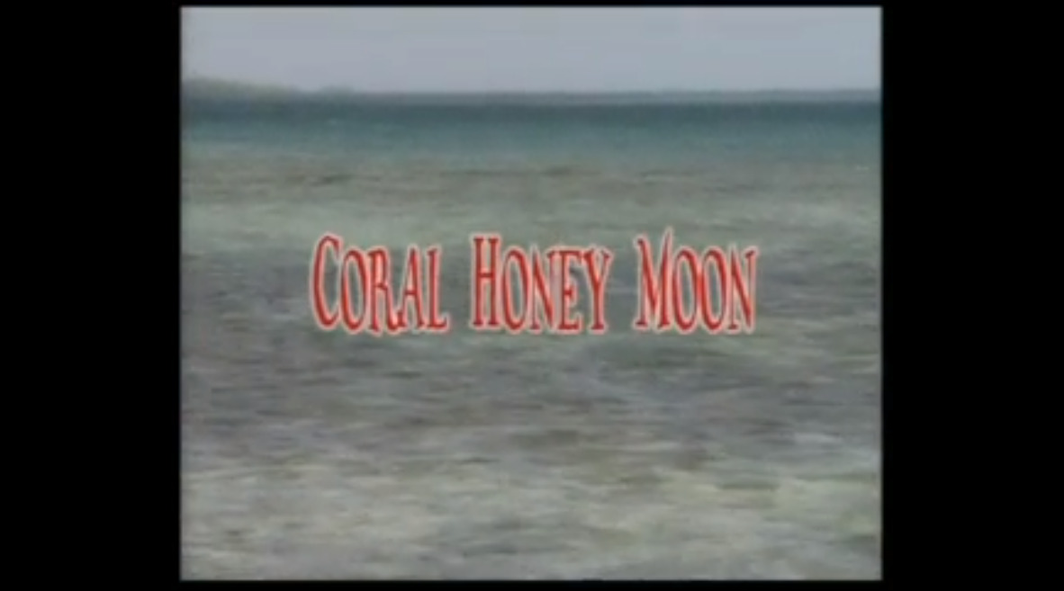 Coral Honey Moon
