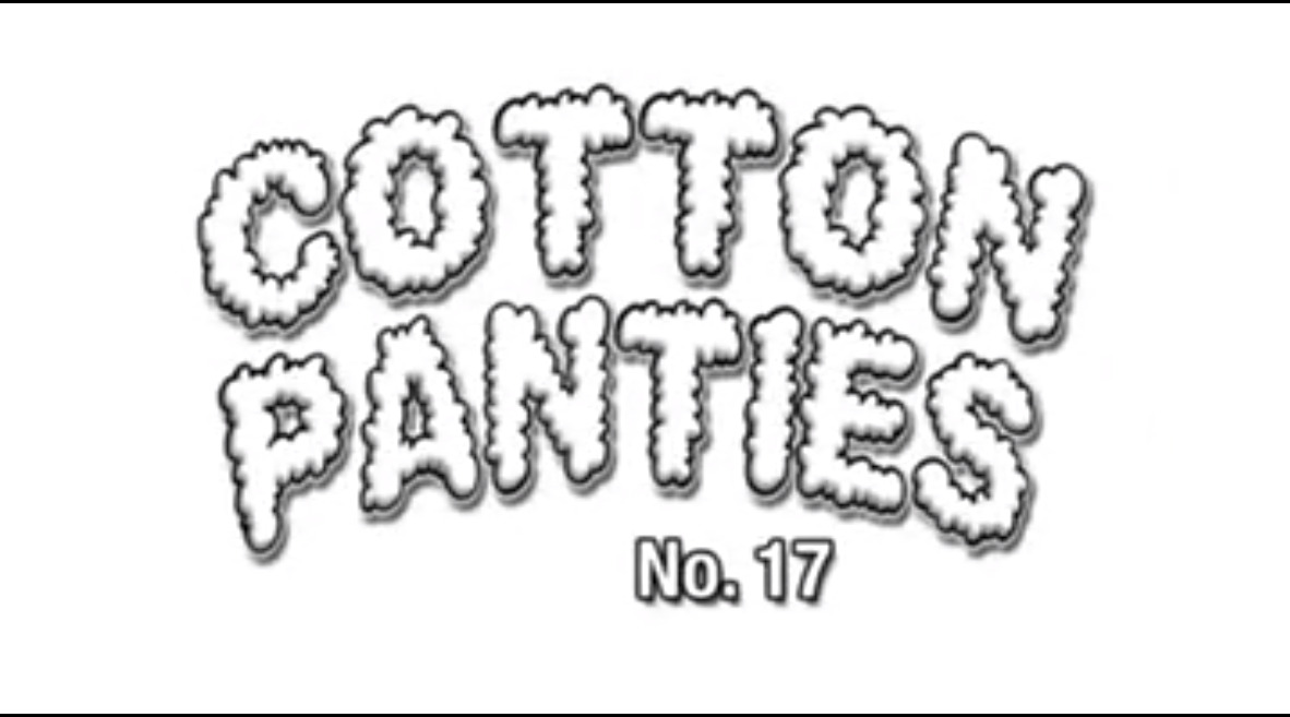 Cotton Panties No 17
