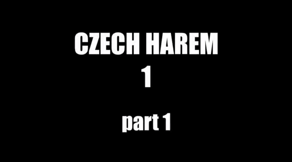 Czech Harem 1