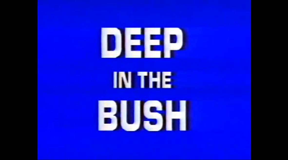 Deep in the Bush