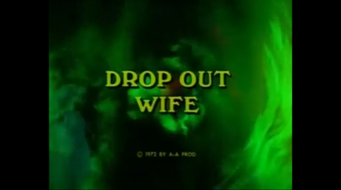 Drop Out Wife