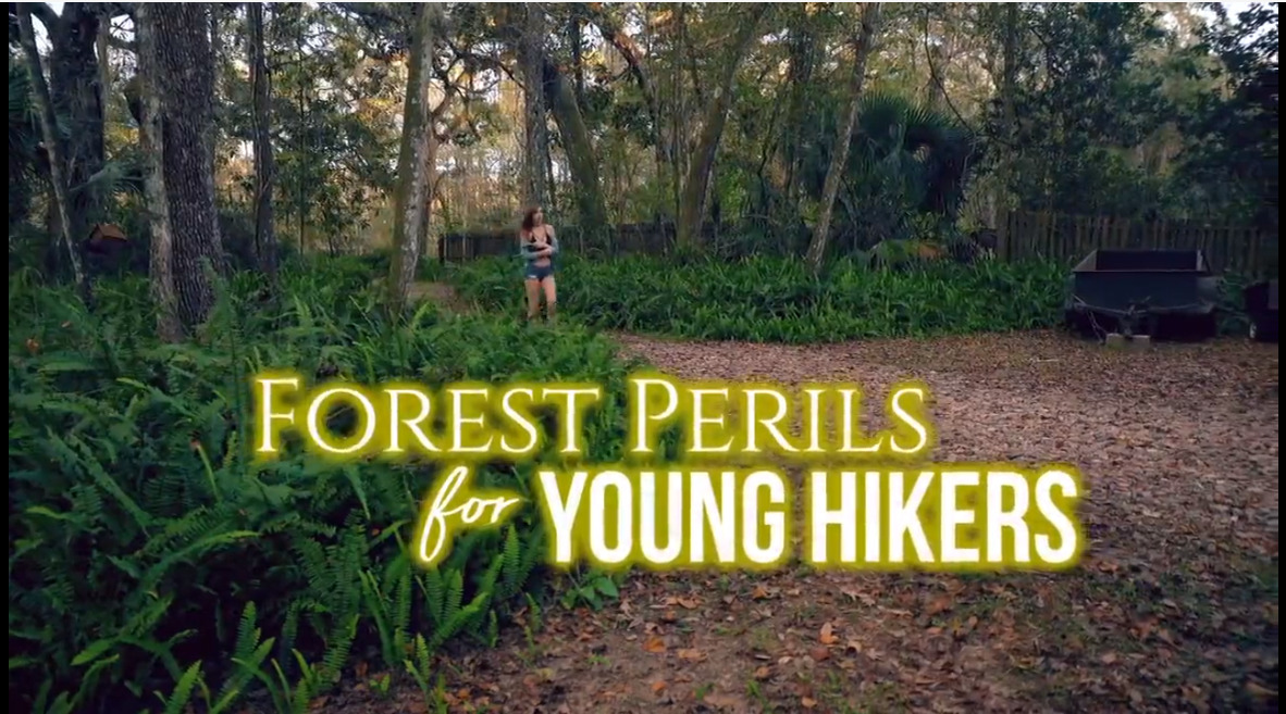 Forest Perils for Young Hikes
