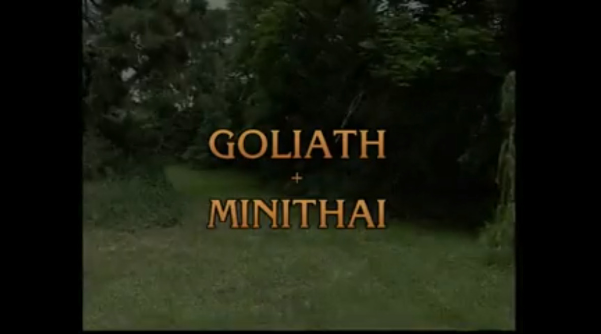Goliath + Minithai