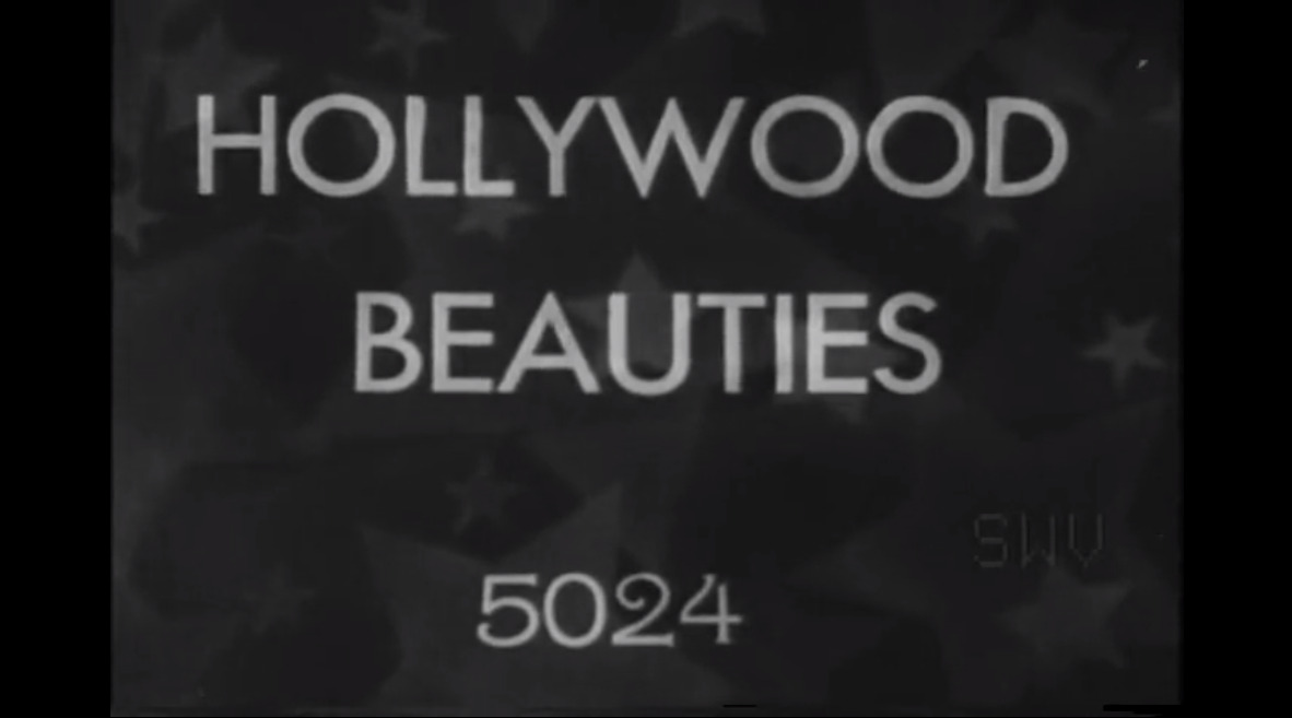 Hollywood Beauties 5024