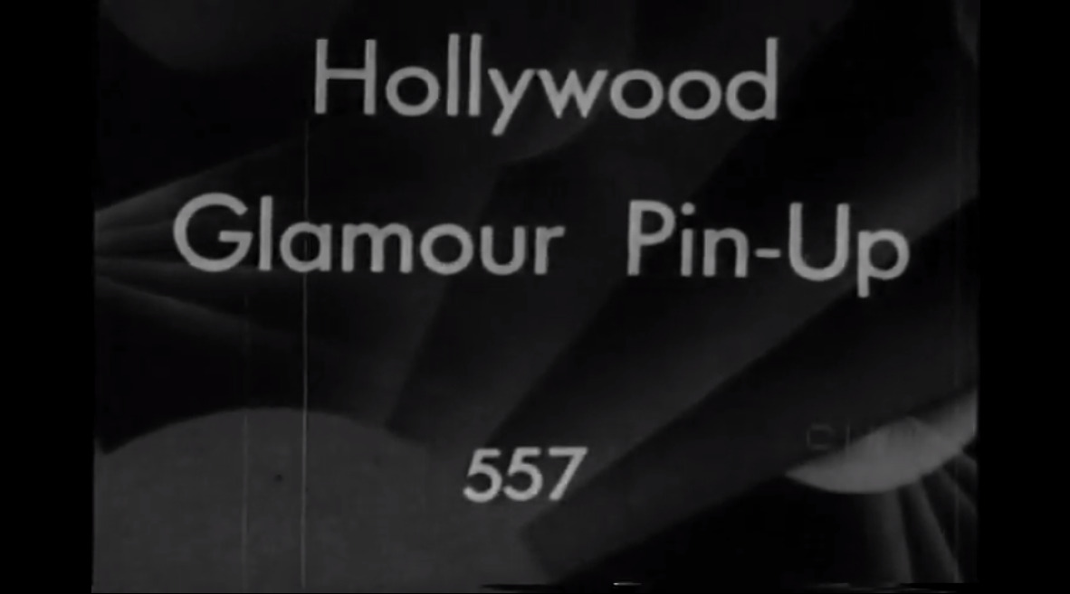 Hollywood Glamour Pin-Up 557