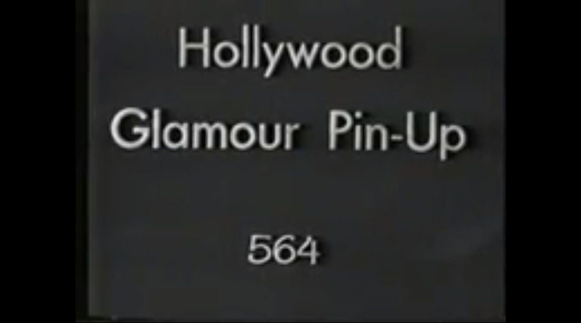 Hollywood Glamour Pin-Up 564