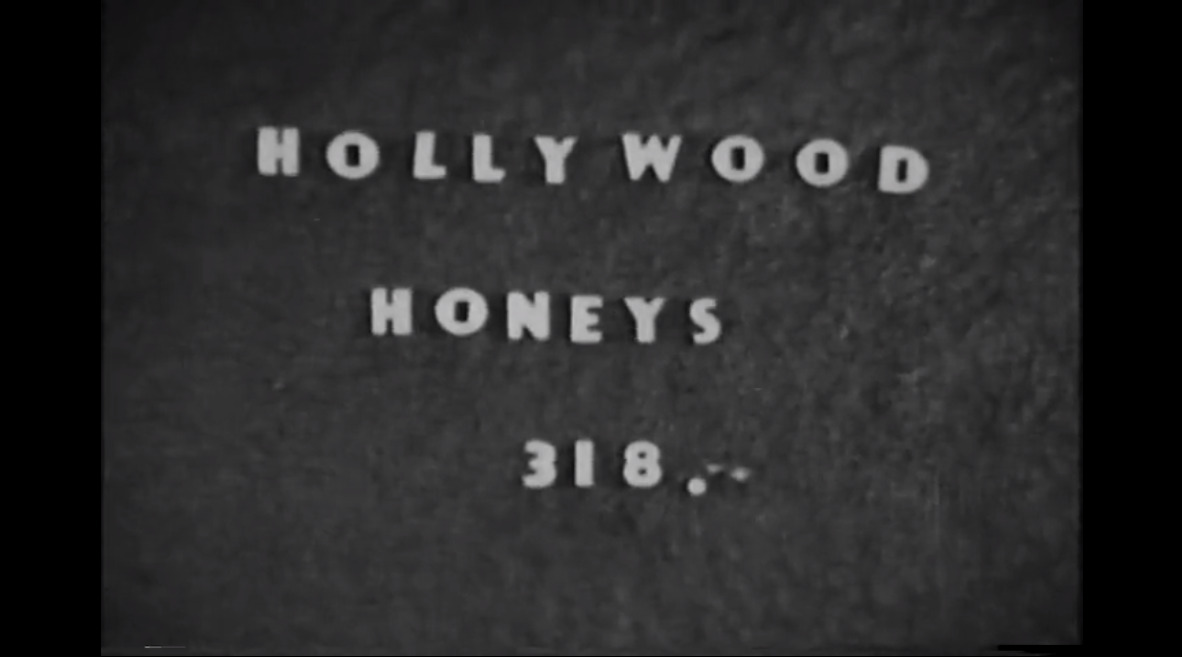 Hollywood Honeys 318