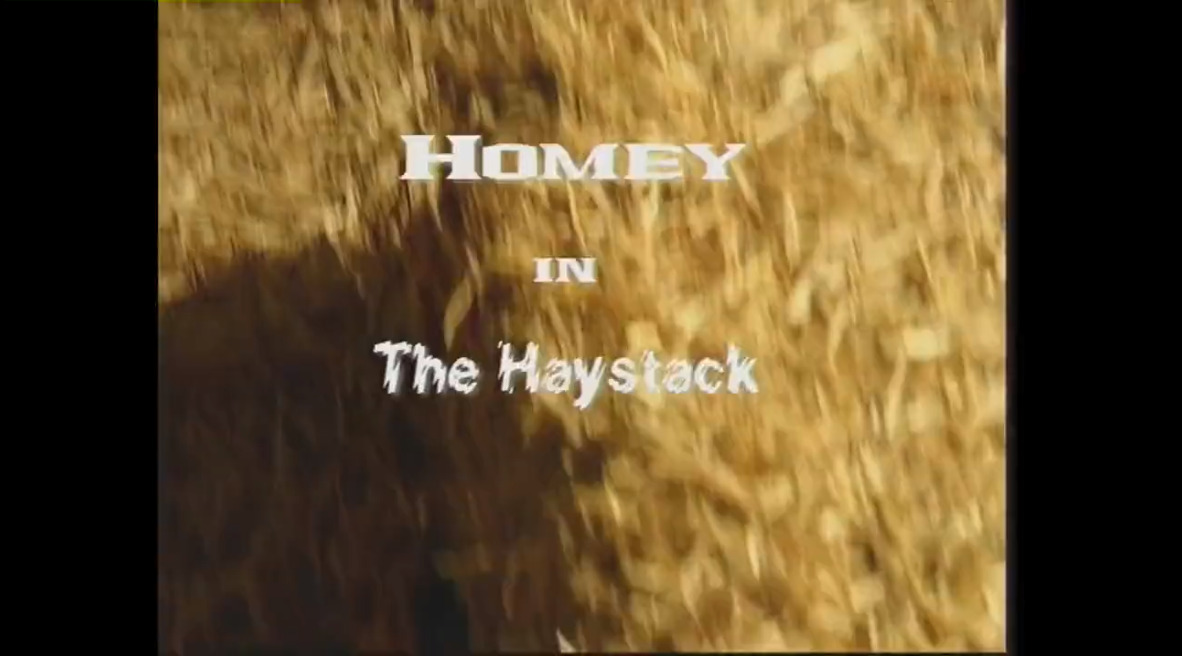 Homey in The Haystack