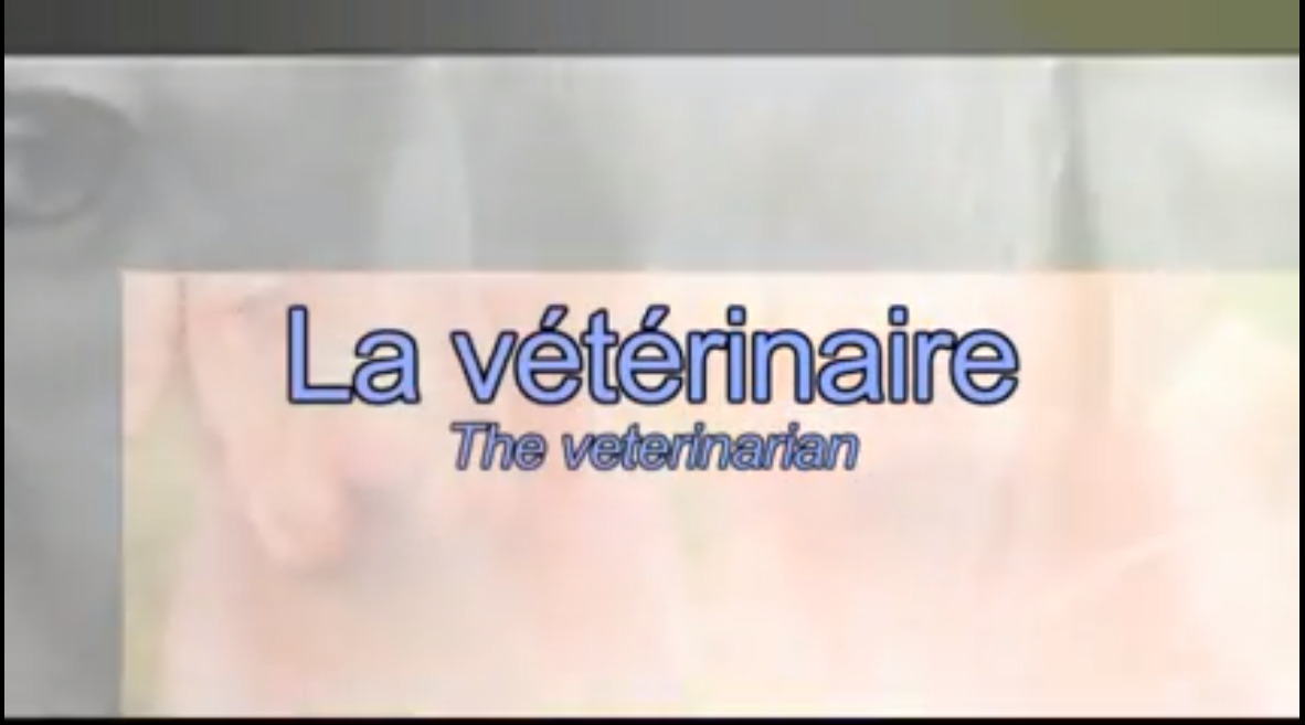 La vétérinaire