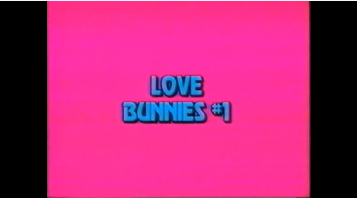 Love Bunnies #1