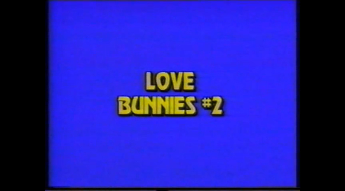 Love Bunnies #2