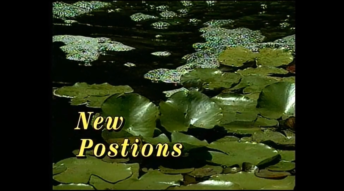 New Positions