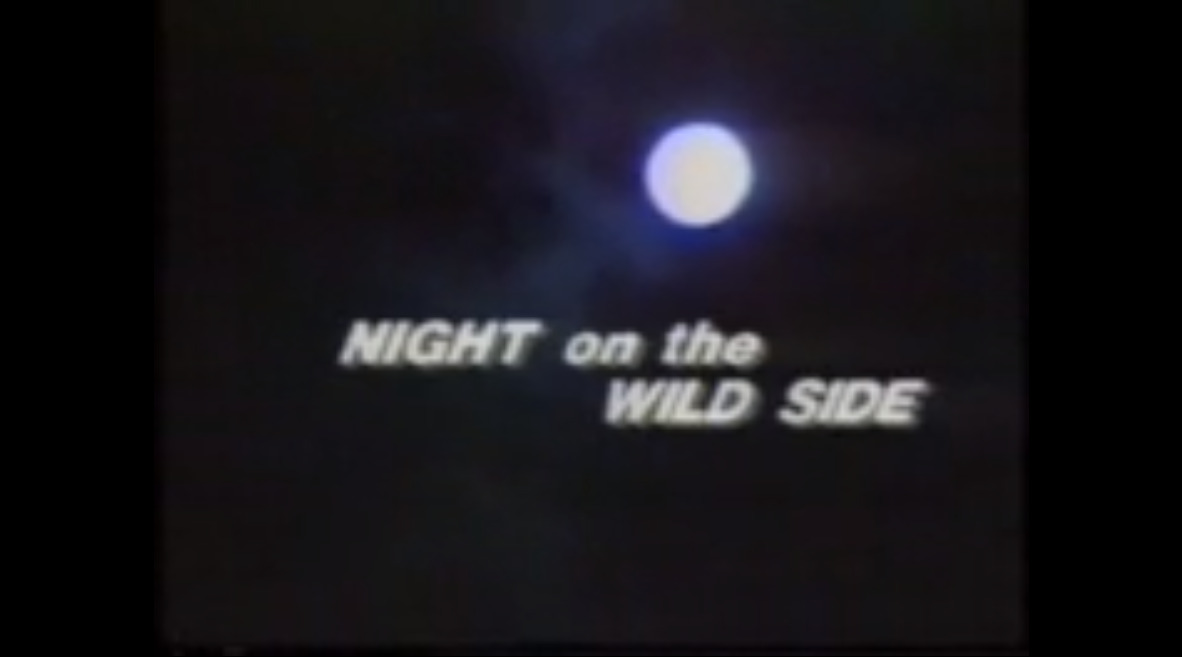 Night on the Wild Side