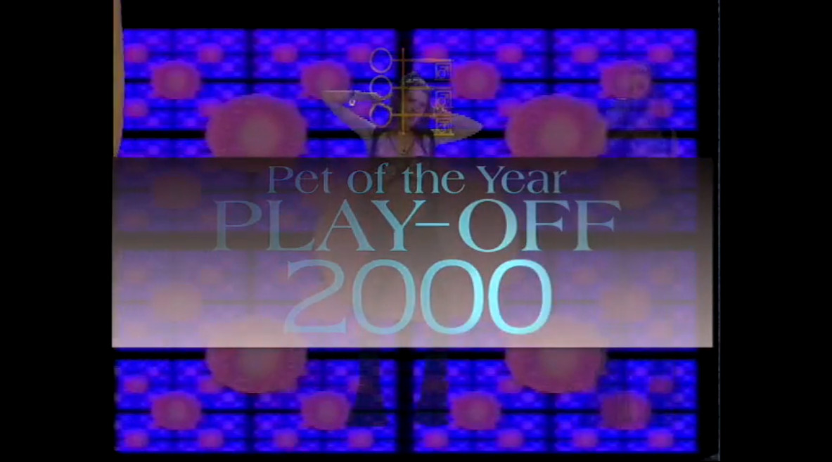 Pet of the Year Play-off 2000