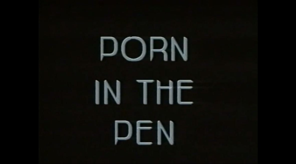Porn in the Pen