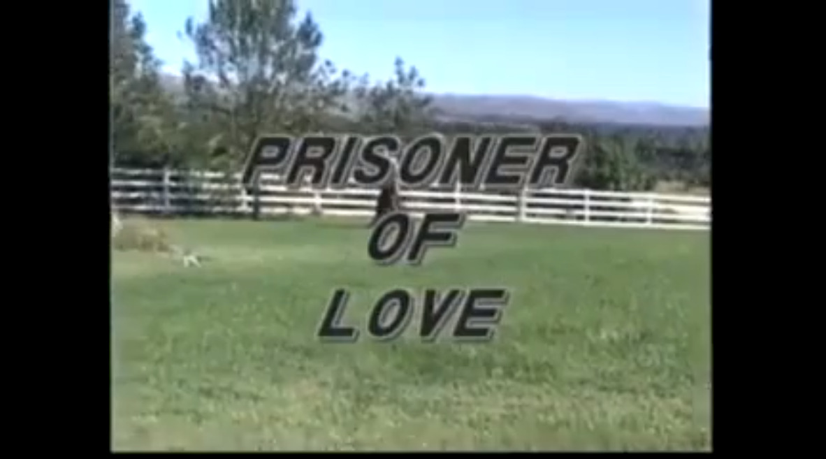 Prisoner of love