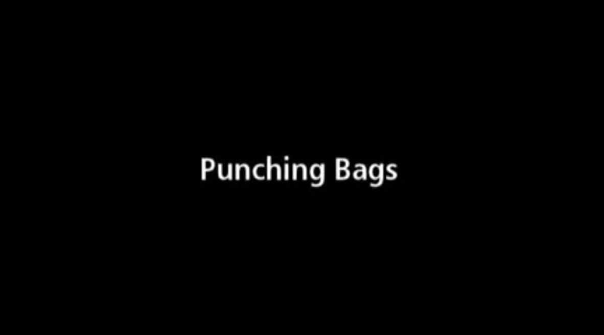 Punching Bags