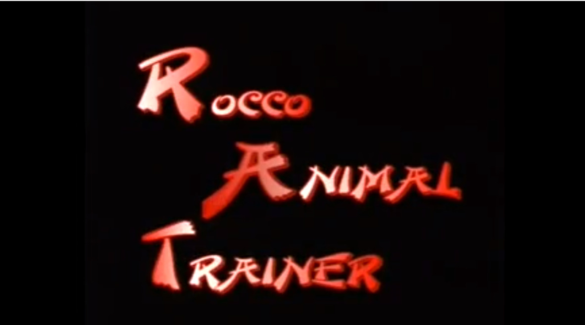 Rocco Animal Trainer