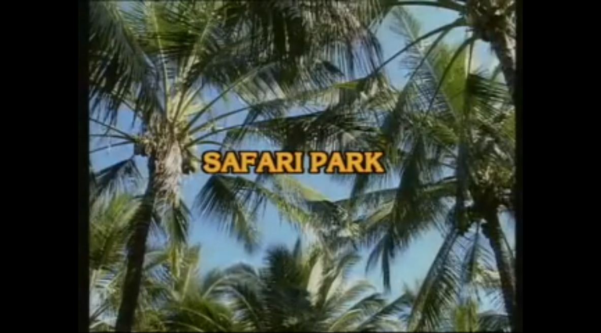 Safari Part