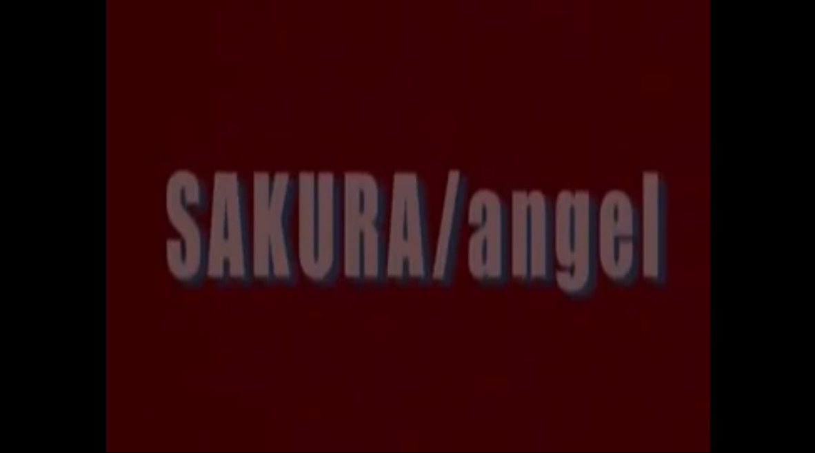 Sakura/angel