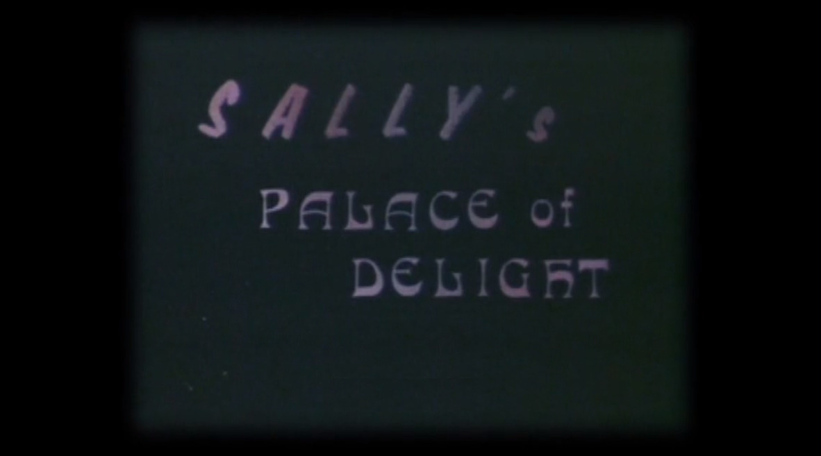 Sally's Palace of Delight