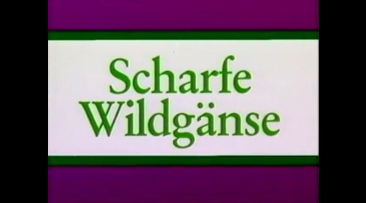 Scharfe Wildgänse