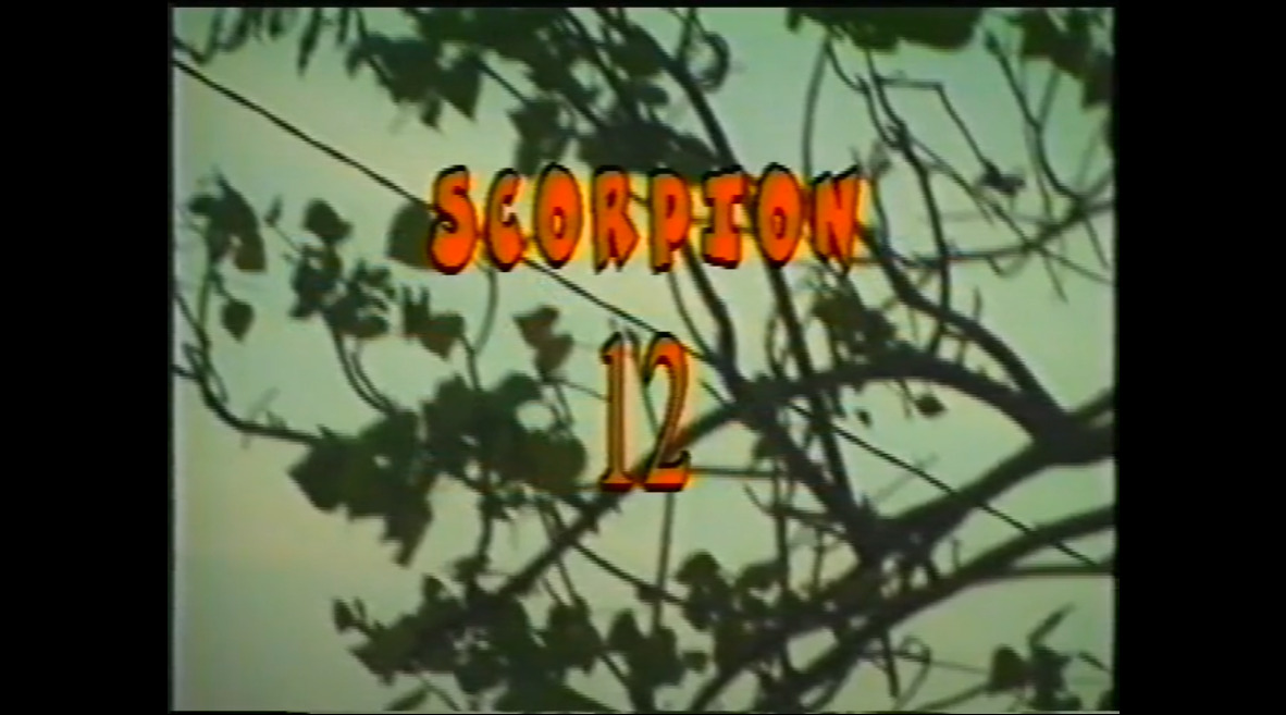 Scorpion 12