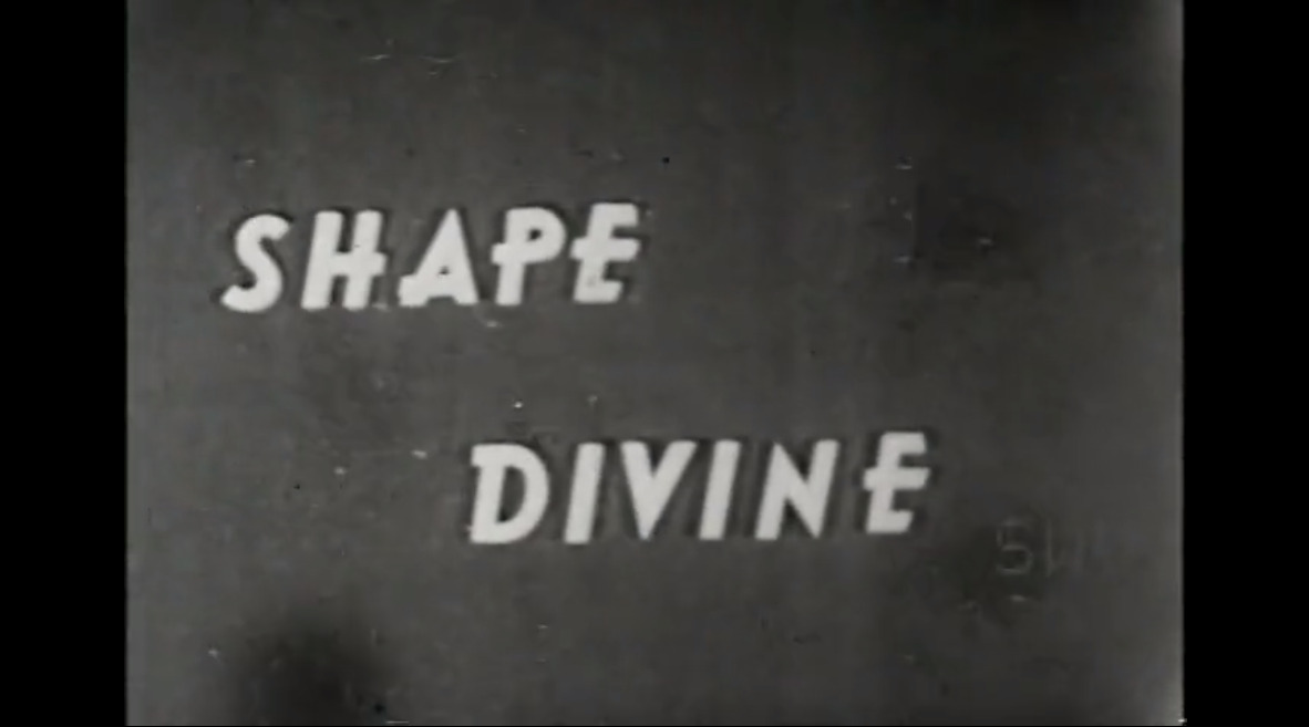 Shape Divine