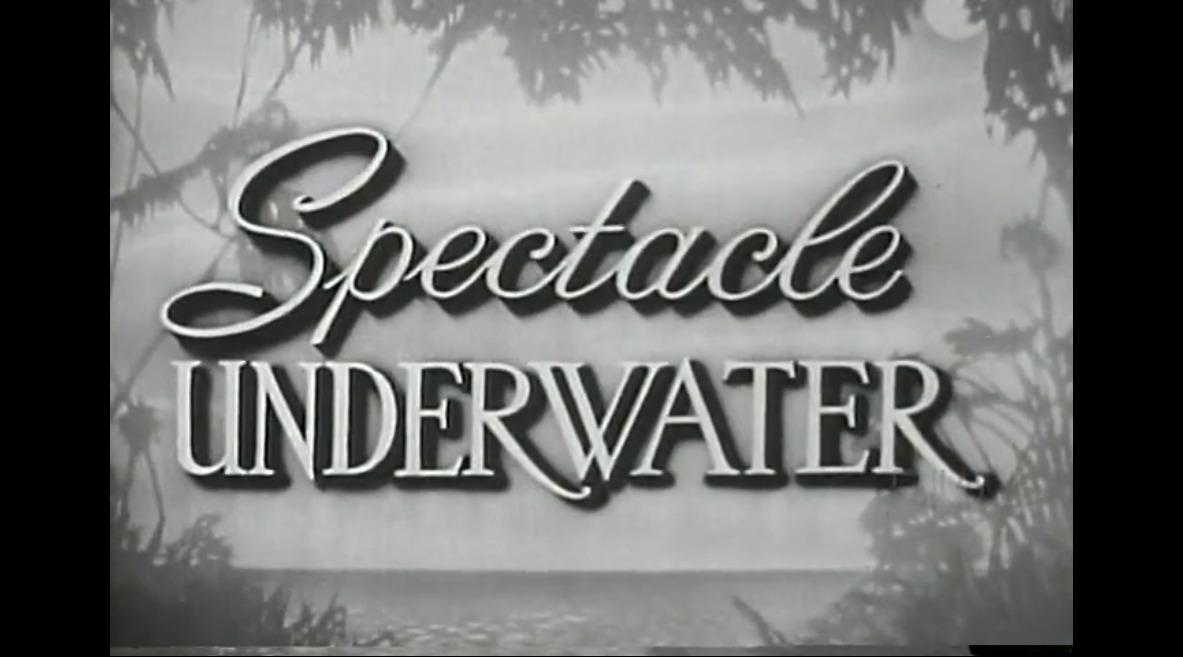 Spectacle Underwater