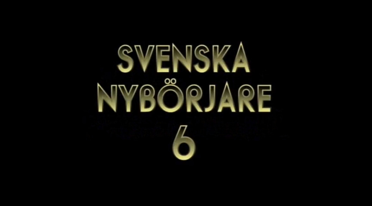 Svenska nibörjare 6
