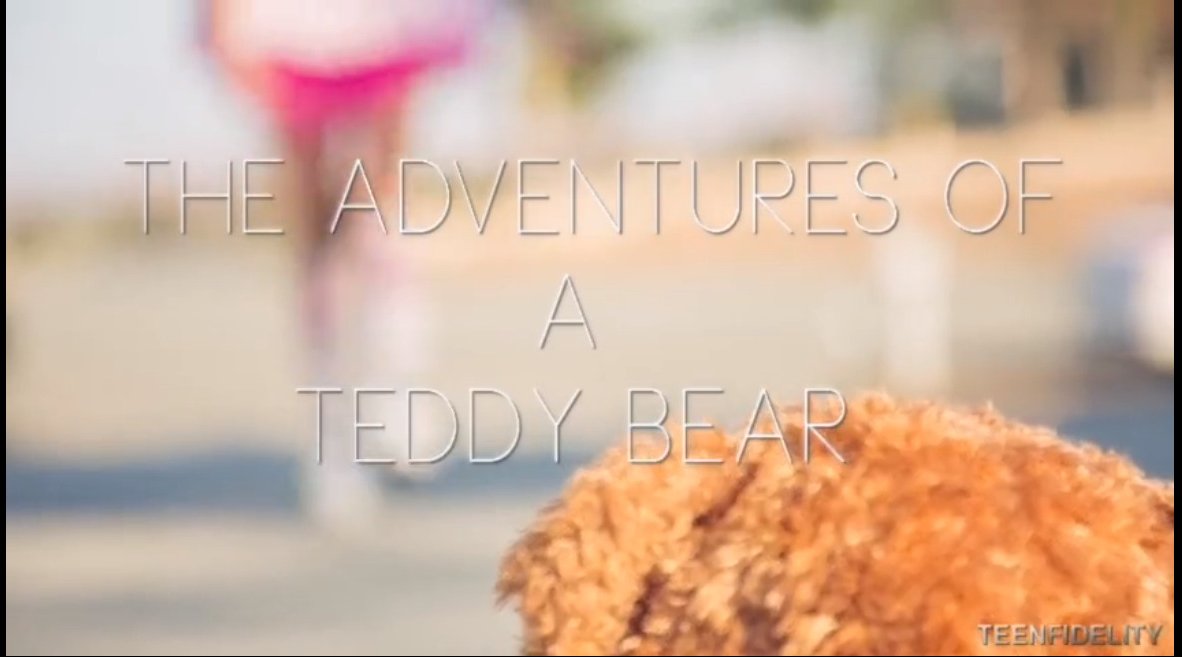The Adventures of Teddy Bear