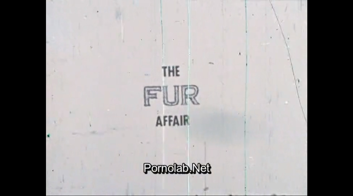 The Fur Affair