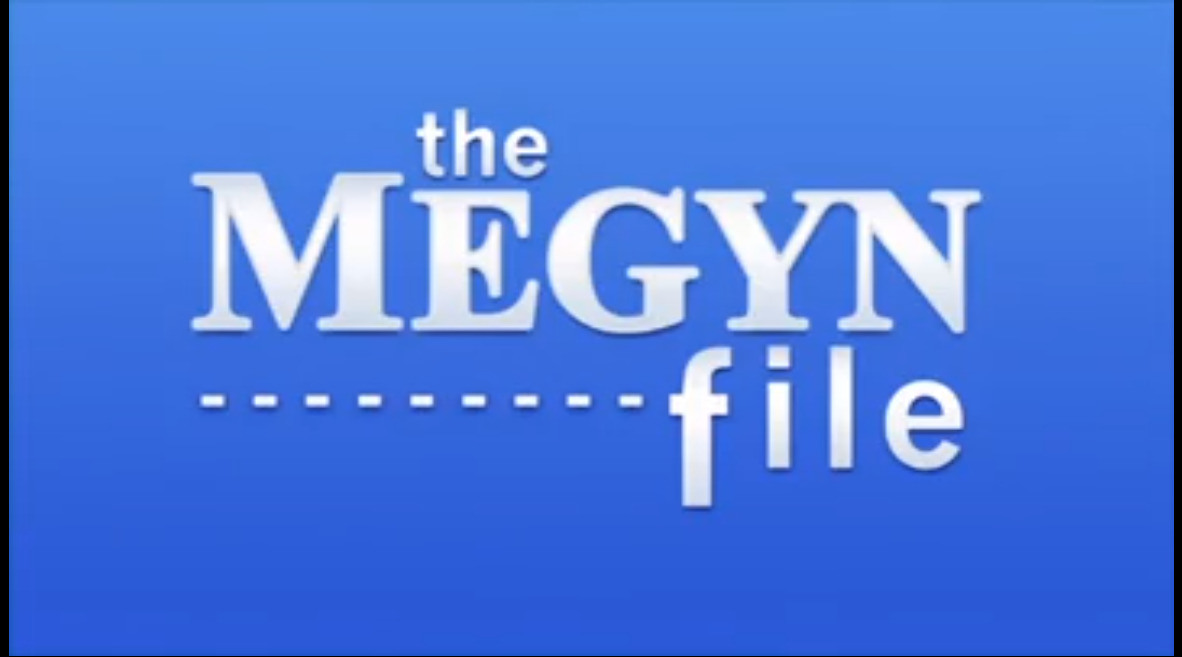 The Megyn file