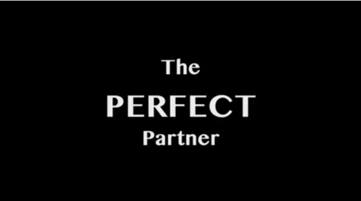 The Perfect Partner