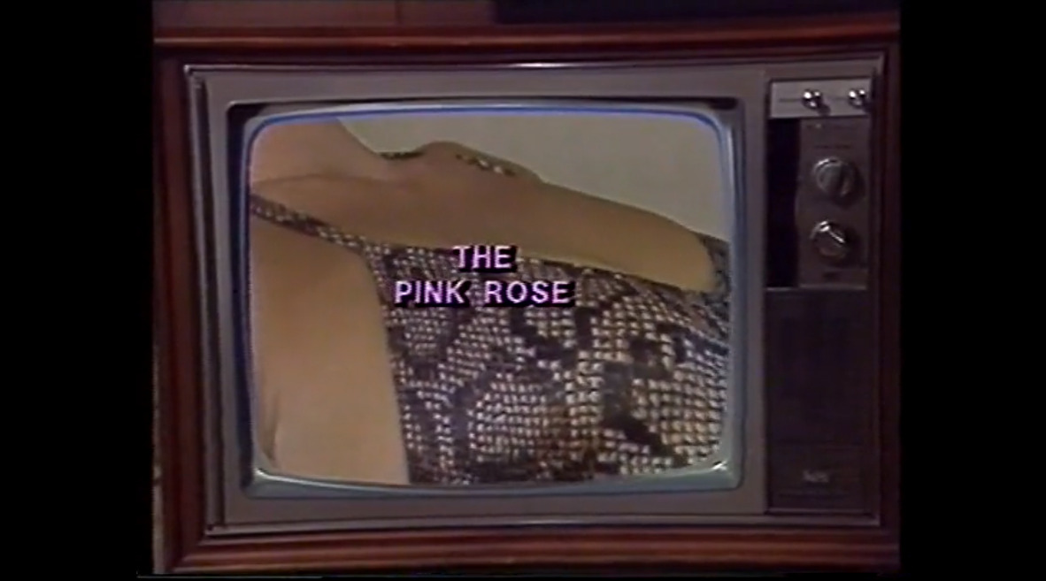 The Pink Rose