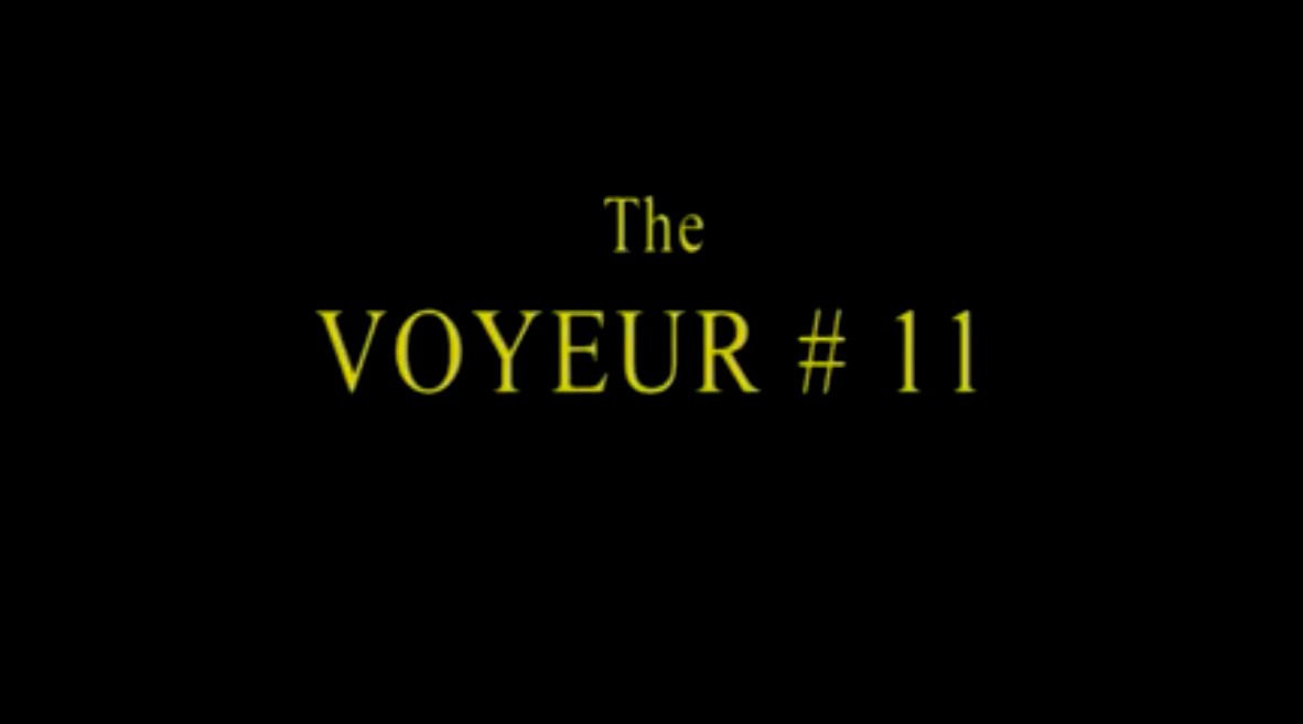 The Voyeur #11